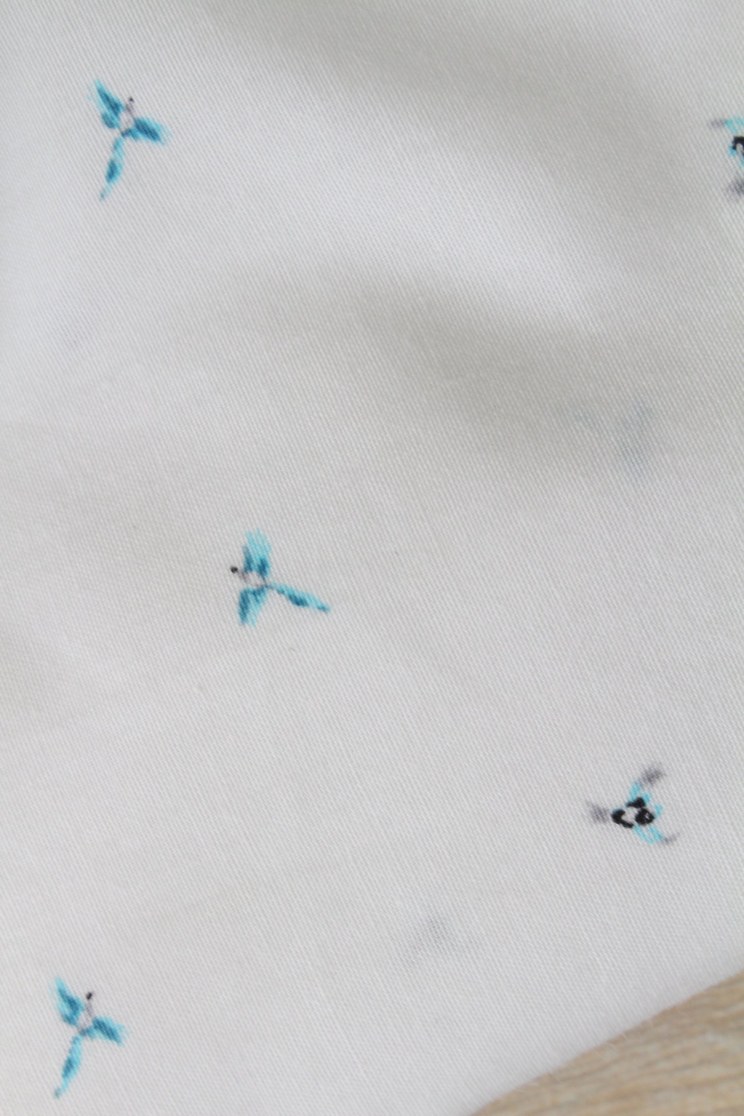 Frostbird Print